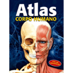 15259764929-atlas-corpo-humano.png