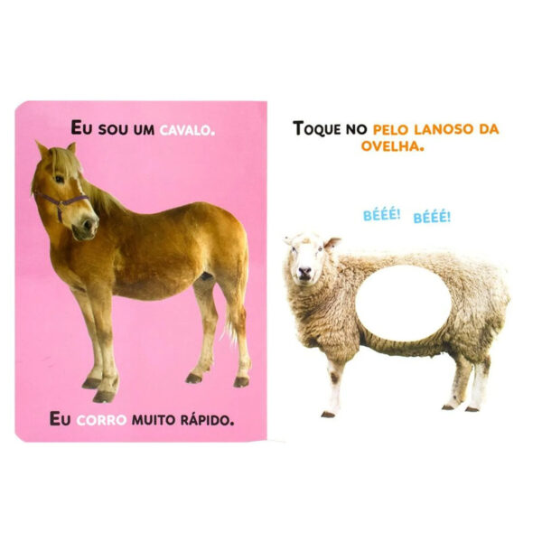 Nomes & Texturas: Animais da Fazenda - Image 2