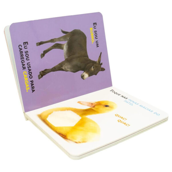 Nomes & Texturas: Animais da Fazenda - Image 3